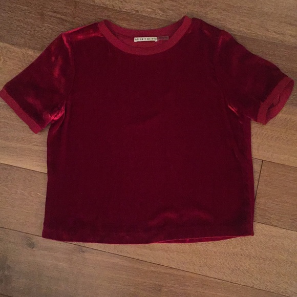 Alice + Olivia Piera Rib-Trim Short Velvet Tee - Picture 5 of 5